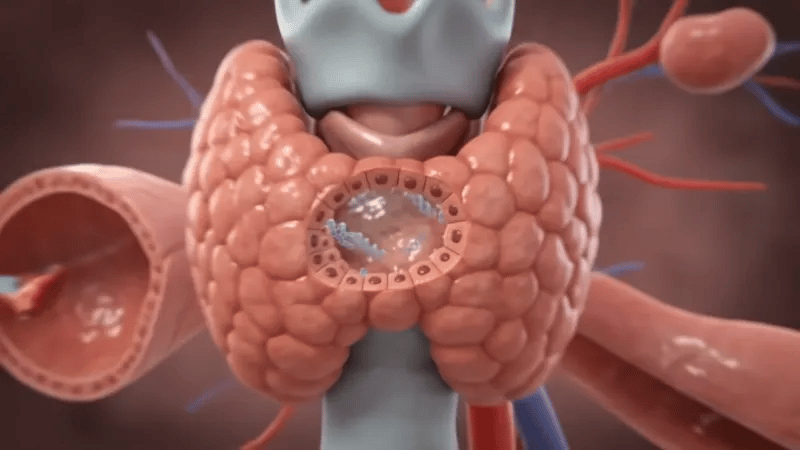 Animación 3D: Cómo funcionan las células nerviosas del oído