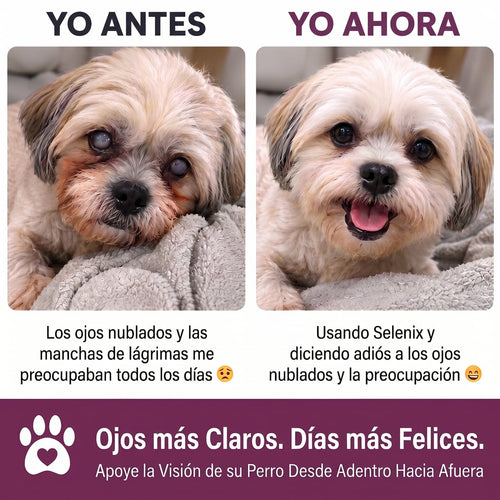 SELENIX® Apoyo Visual Para Perros