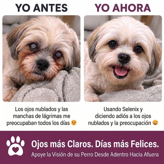 Antes y después