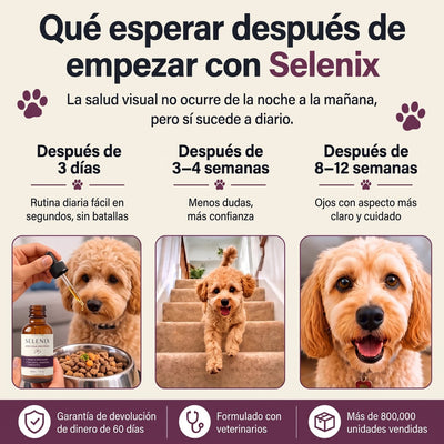 Qué esperar