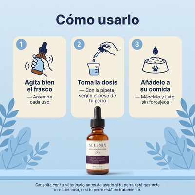 Cómo usarlo